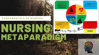 Nursing Metaparadigm  FUNDA [upl. by Wallace]