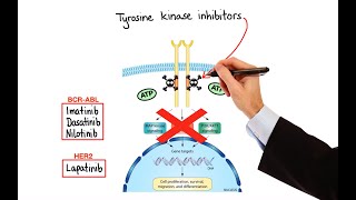 Pharmacology  CANCER DRUGS – CELL CYCLE INHIBITORS MADE EASY [upl. by Ecnerual]