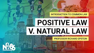 Positive Law v Natural Law Introduction to Common Law [upl. by Liba]