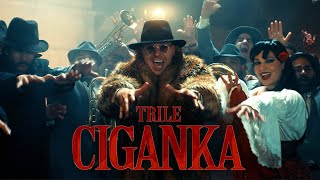 TRILE  CIGANKA OFFICIAL VIDEO [upl. by Mobley436]