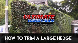 How to trim a large hedge [upl. by Undry]