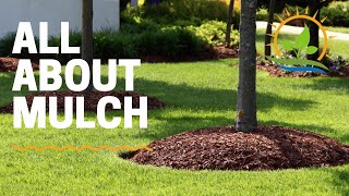 EVERYTHING MULCH  Types and How to Choose [upl. by Annerb]