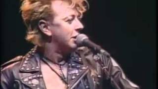 Stray Cats  BeBopALula  Live [upl. by Dielu]