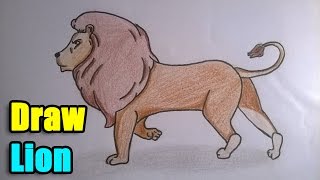 How to Draw a Lion [upl. by Dilisio665]