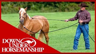 Clinton Anderson Training a Rescue Horse Part 1  Downunder Horsemanship [upl. by Nnylahs]