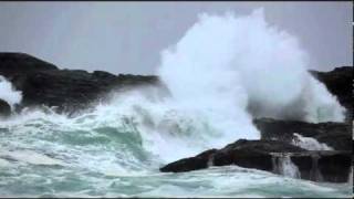 Storm Watching in Tofino BC  The Wickaninnish Inn [upl. by Fasano]