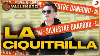 La Ciquitrilla Silvestre Dangond  Letra Oficial [upl. by Llenrev547]