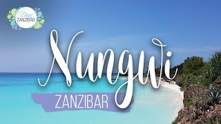 Nungwi Beach Zanzibar  Video HD [upl. by Nrevel667]