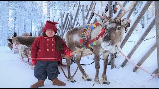 Kilvo Elf visiting Santa Claus Village🦌🎅 Rovaniemi Lapland Finland Arctic Circle Father Christmas [upl. by Lehteb400]