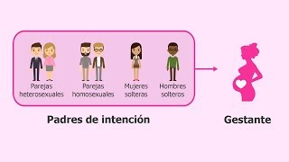 ¿Qué es la gestación subrogada [upl. by Ardnola]