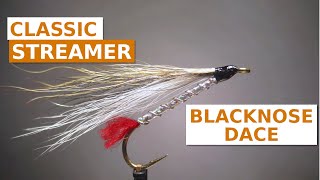 Fly Tying a Blacknose Dace Art Flick Bucktail Streamer [upl. by Acinonrev]