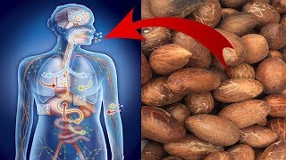 12 Amazing Health Benefits of Bitter Kola You Need to Know [upl. by Munafo]