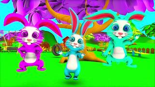 The Bunny Song  Kindergarten Nursery Rhyme amp Song for Kids [upl. by Nadia340]