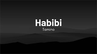 Tamino  Habibi Lyrics [upl. by Hernando]