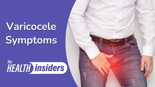 Varicocele Symptoms and Causes [upl. by Rimidalb]