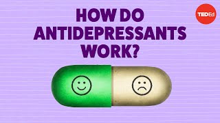 How do antidepressants work  Neil R Jeyasingam [upl. by Cullin]