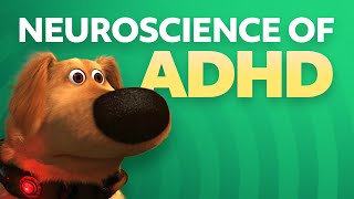 How is ADHD Diagnosed [upl. by Corneille]