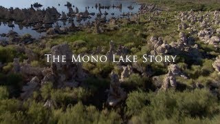 The Mono Lake Story [upl. by Anaibaf]