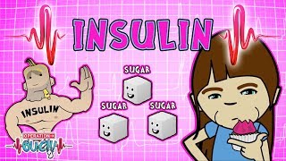 Operation Ouch  Insulin  Endocrine System [upl. by Hametaf645]