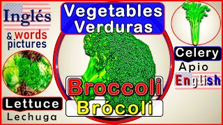 Verduras en Inglés  Vegetables in English  Veggies Vegetales  Palabras en Inglés  Ingles gratis [upl. by Annid]