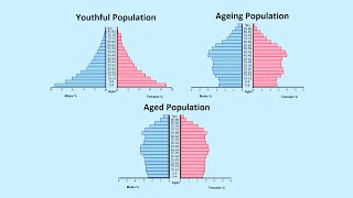 How to Read a Population Pyramid [upl. by Mittel]