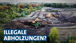 Waldvernichtung Illegale Abholzungen mit System  Panorama 3  NDR [upl. by Ear943]