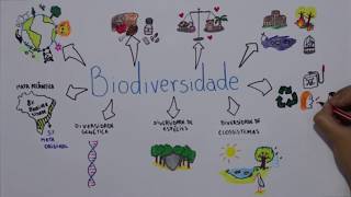 Biodiversidade [upl. by Gignac481]