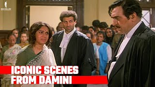 Damini  Iconic Scenes  Sunny Deol Meenakshi Sheshadri Amrish Puri [upl. by Ecinrahs587]