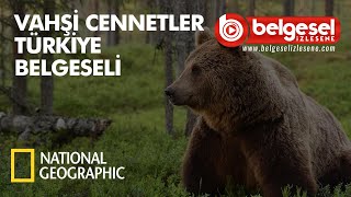 Vahşi Cennetler Türkiye Belgeseli  Türkçe Dublaj [upl. by Salter]