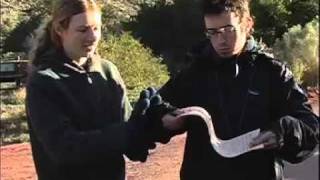 Monocline Explained Capitol Reef National Park [upl. by Hughmanick]