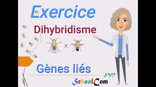 Exercice Dihybridisme 2 gènes liés [upl. by Nedroj]