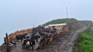 Rural Life in The Nepali Mountains Village Nepal How To Living Live The Rural Nepal in Rainy Season [upl. by Slen]