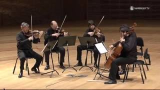 Franz Schubert String Quintet in C Major D 956 [upl. by Gabel]