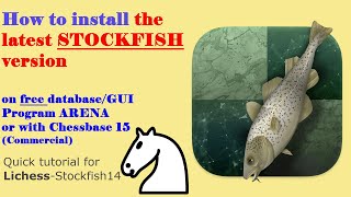 STOCKFISH141 Release  HOW to INSTALL  Stockfish14 [upl. by Eedissac]