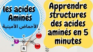 Les structures des acides aminés [upl. by Adehsor]