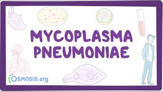 Mycoplasma pneumoniae  an Osmosis Preview [upl. by Gamali]