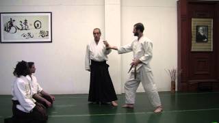 Aikido in Three Easy Lessons in 11 minutes [upl. by Deraj402]