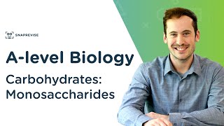 Carbohydrates Monosaccharides  Alevel Biology  OCR AQA Edexcel [upl. by Ardath169]