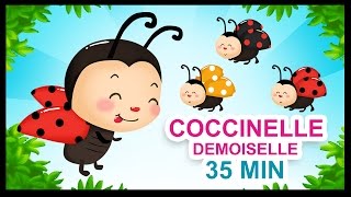 Coccinelle demoiselle  Comptines pour les petits  Titounis [upl. by Farny]