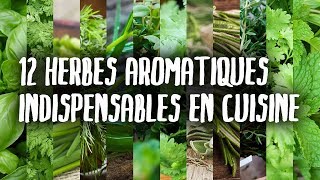 12 herbes INDISPENSABLES en cuisine partie I [upl. by Kudva]