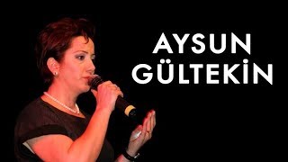 Aysun Gültekin  Erzincana Girdim Ne Güzel Bağlar Uzun Hava [upl. by Netsrijk543]