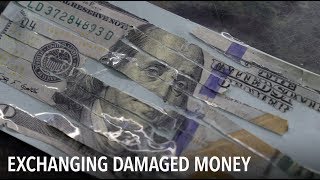 What happens with damaged US dollars  VOA Connect [upl. by Kalikow]