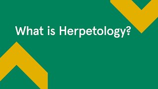 What is Herpetology [upl. by Melly]