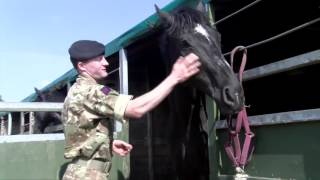 The Household Cavalry Mounted Regiment at the Royal Windsor Horse Show [upl. by Dukie10]