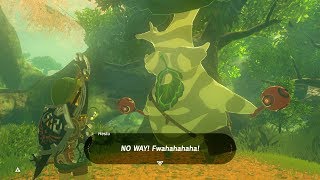 Zelda BOTW Collecting All 900 Koroks Seeds Before Talking To Hestu Master Mode [upl. by Zorana579]