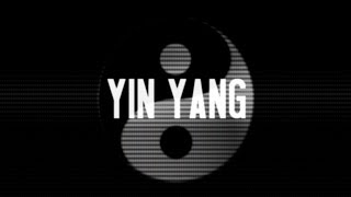 USS  Yin Yang OFFICIAL LYRIC VIDEO [upl. by Erotavlas]