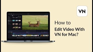 04 How to Edit Video With VN for Mac｜VN for Mac [upl. by Cheyney]