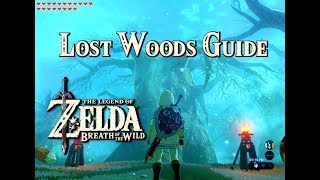 Zelda Breath of the Wild Easy Weapon Locations [upl. by Eiroc]