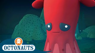 Octonauts  Vampire Squid The Crab and Urchin  Cartoons for Kids  Underwater Sea Education [upl. by Swarts]