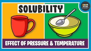 What is Solubility Chemistry [upl. by Veriee455]